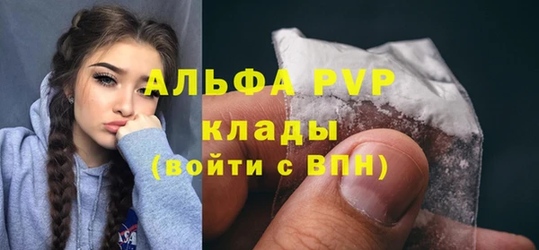 индика Аркадак