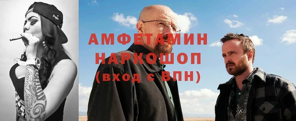 индика Аркадак